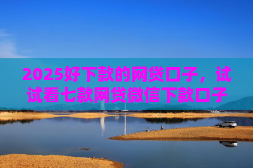 2025好下款的网贷口子，试试看七款网贷微信下款口子