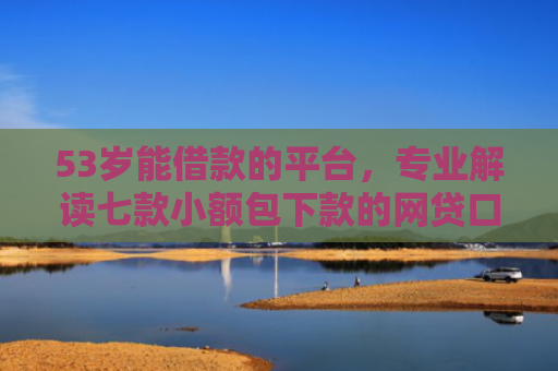 53岁能借款的平台，专业解读七款小额包下款的网贷口子