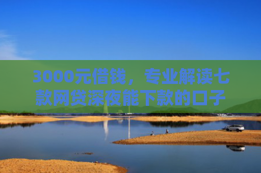 3000元借钱，专业解读七款网贷深夜能下款的口子