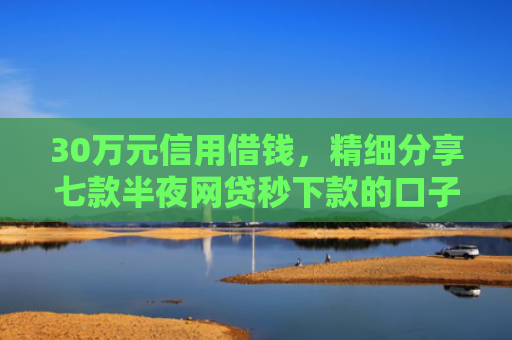 30万元信用借钱，精细分享七款半夜网贷秒下款的口子