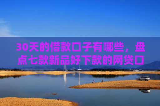 30天的借款口子有哪些，盘点七款新品好下款的网贷口子