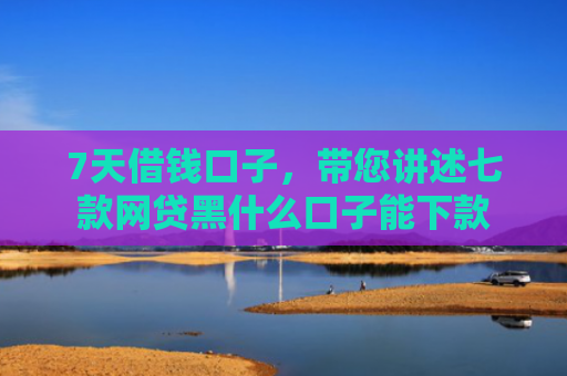 7天借钱口子，带您讲述七款网贷黑什么口子能下款