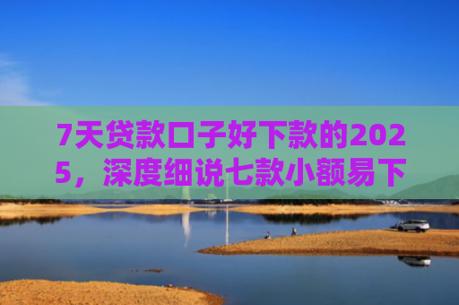 7天贷款口子好下款的2025，深度细说七款小额易下款的网贷口子