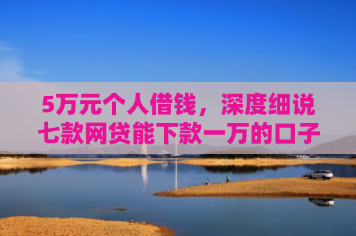 5万元个人借钱，深度细说七款网贷能下款一万的口子