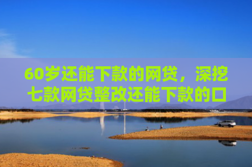 60岁还能下款的网贷，深挖七款网贷整改还能下款的口子