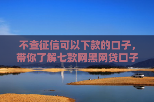 不查征信可以下款的口子，带你了解七款网黑网贷口子马上下款的