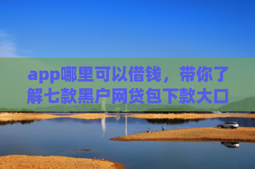 app哪里可以借钱，带你了解七款黑户网贷包下款大口子