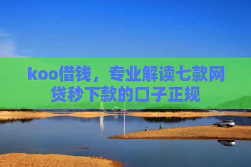 koo借钱，专业解读七款网贷秒下款的口子正规