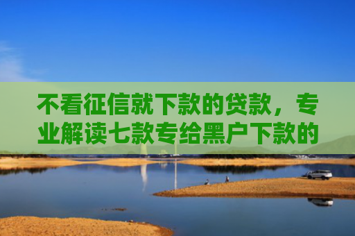 不看征信就下款的贷款，专业解读七款专给黑户下款的网贷口子