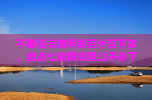 不看征信的网贷百分百下款，盘点七款网贷黑口子必下款app2025