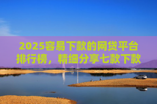 2025容易下款的网贷平台排行榜，精细分享七款下款率高的网贷口子及贷