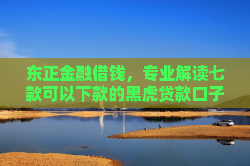 东正金融借钱，专业解读七款可以下款的黑虎贷款口子