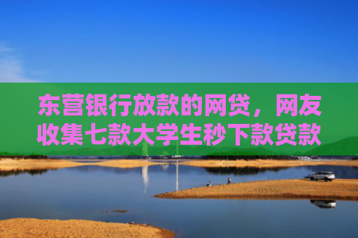 东营银行放款的网贷，网友收集七款大学生秒下款贷款口子6