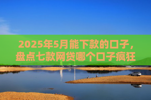 2025年5月能下款的口子，盘点七款网贷哪个口子疯狂下款