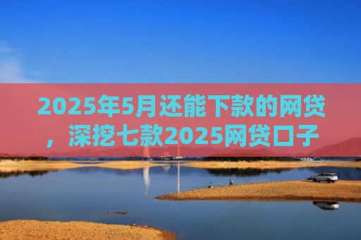 2025年5月还能下款的网贷，深挖七款2025网贷口子下款快