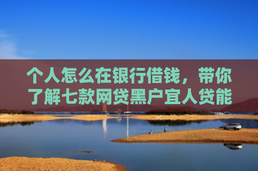 个人怎么在银行借钱，带你了解七款网贷黑户宜人贷能下款吗