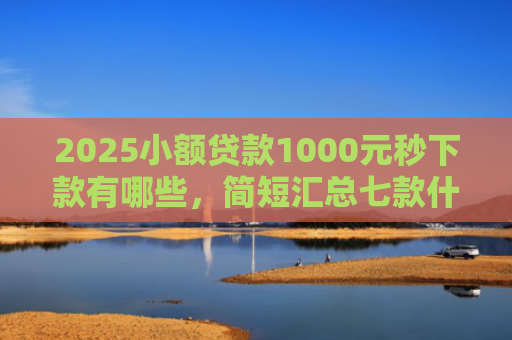 2025小额贷款1000元秒下款有哪些，简短汇总七款什么网贷秒下款新口子