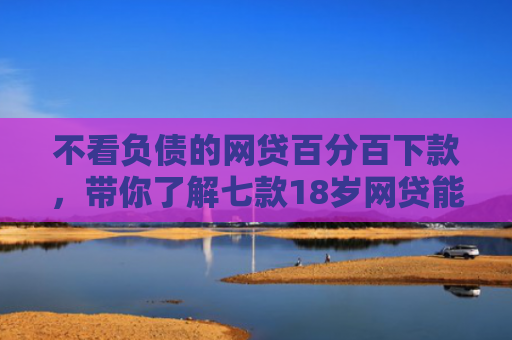 不看负债的网贷百分百下款，带你了解七款18岁网贷能下款的口子2025