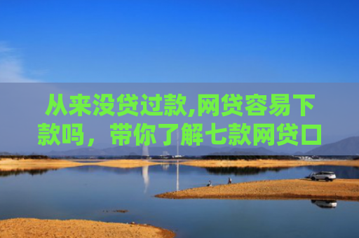 从来没贷过款,网贷容易下款吗，带你了解七款网贷口子好下款的平台有哪些
