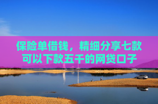 保险单借钱，精细分享七款可以下款五千的网贷口子