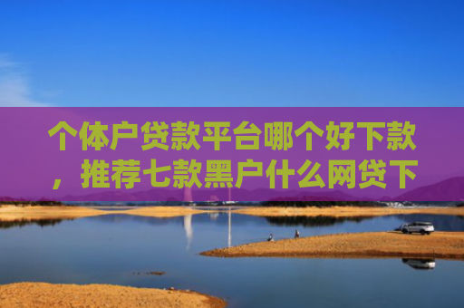 个体户贷款平台哪个好下款，推荐七款黑户什么网贷下款快