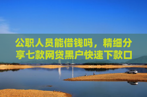 公职人员能借钱吗，精细分享七款网贷黑户快速下款口子