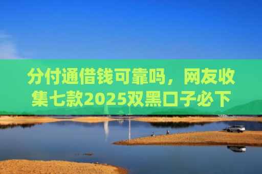 分付通借钱可靠吗，网友收集七款2025双黑口子必下款app
