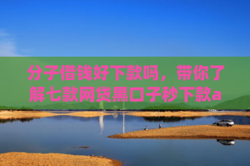 分子借钱好下款吗，带你了解七款网贷黑口子秒下款app入口