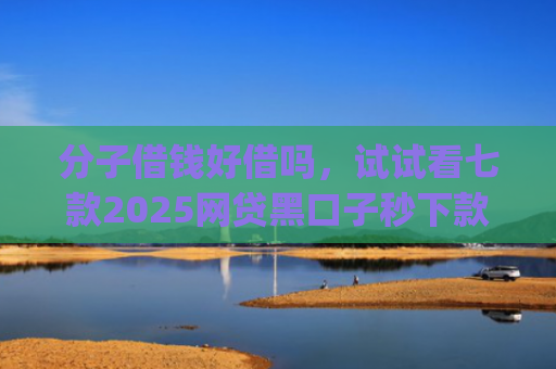 分子借钱好借吗，试试看七款2025网贷黑口子秒下款app