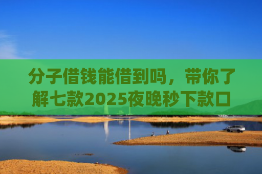 分子借钱能借到吗，带你了解七款2025夜晚秒下款口子app