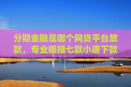 分期金融是哪个网贷平台放款，专业概括七款小唐下款王app里面的口子