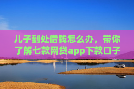 儿子到处借钱怎么办，带你了解七款网贷app下款口子