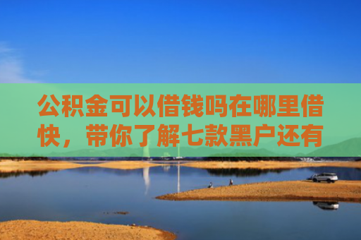公积金可以借钱吗在哪里借快，带你了解七款黑户还有什么网贷下款
