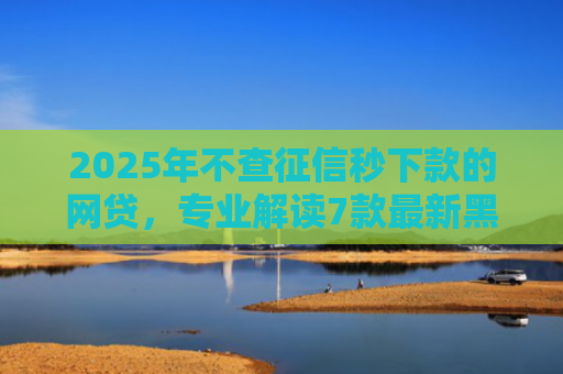 2025年不查征信秒下款的网贷，专业解读7款最新黑户网贷下款口子