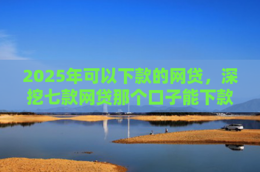 2025年可以下款的网贷，深挖七款网贷那个口子能下款