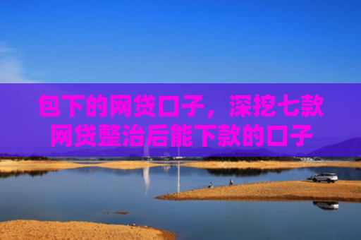 包下的网贷口子，深挖七款网贷整治后能下款的口子