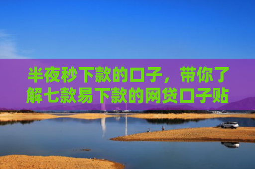 半夜秒下款的口子，带你了解七款易下款的网贷口子贴吧