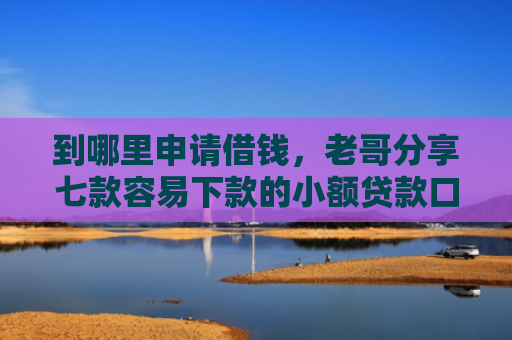 到哪里申请借钱，老哥分享七款容易下款的小额贷款口子