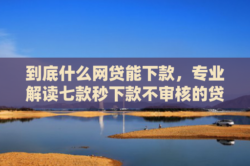 到底什么网贷能下款，专业解读七款秒下款不审核的贷款口子