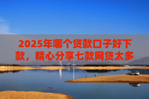 2025年哪个贷款口子好下款，精心分享七款网贷太多易下款口子