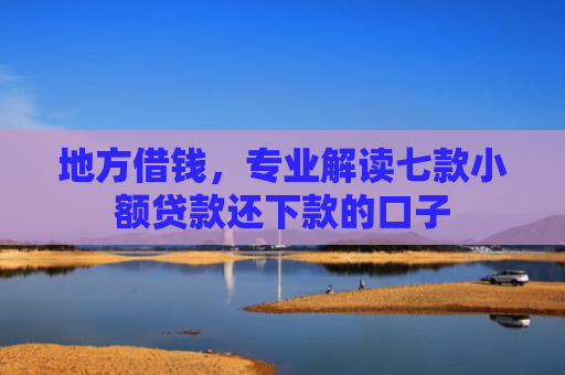 地方借钱，专业解读七款小额贷款还下款的口子
