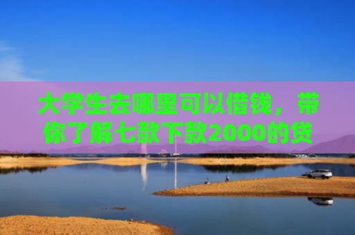大学生去哪里可以借钱，带你了解七款下款2000的贷款口子