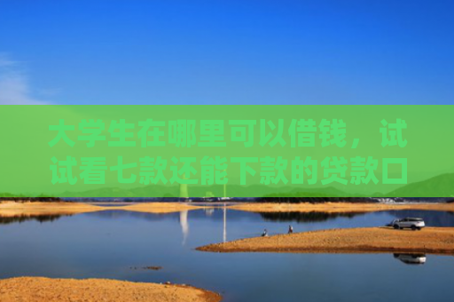 大学生在哪里可以借钱，试试看七款还能下款的贷款口子