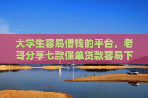 大学生容易借钱的平台，老哥分享七款保单贷款容易下款口子