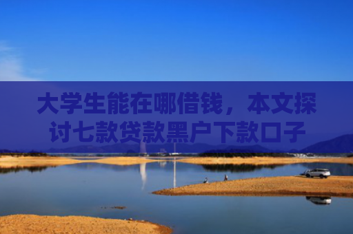 大学生能在哪借钱，本文探讨七款贷款黑户下款口子