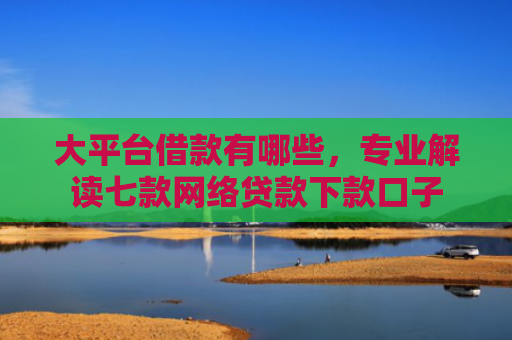 大平台借款有哪些，专业解读七款网络贷款下款口子