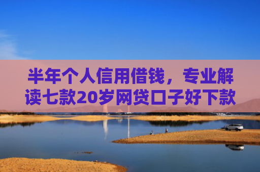 半年个人信用借钱，专业解读七款20岁网贷口子好下款的