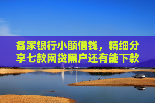 各家银行小额借钱，精细分享七款网贷黑户还有能下款