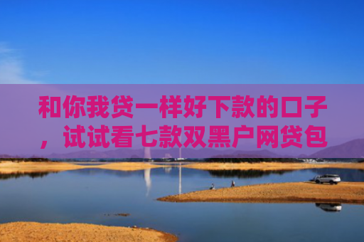 和你我贷一样好下款的口子，试试看七款双黑户网贷包下款口子