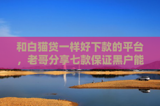和白猫贷一样好下款的平台，老哥分享七款保证黑户能下款的网贷